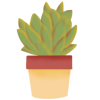 binnen- planten illustratie png