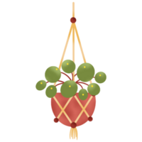 indoor hanging plants illustration png