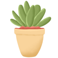 interior plantas ilustración png