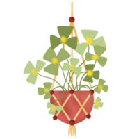 binnen- hangende planten illustratie png