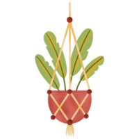 binnen- hangende planten illustratie png