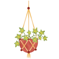 indoor hanging plants illustration png