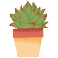 binnen- planten illustratie png