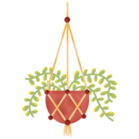 binnen- hangende planten illustratie png