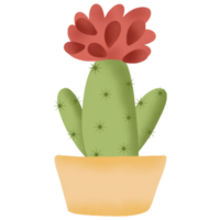 indoor plants illustration png