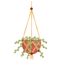 inomhus- hängande växter illustration png