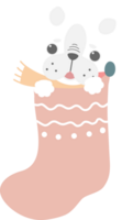 alegre Natal e feliz Novo ano com fofa cachorro dentro meia, plano png transparente elemento desenho animado personagem Projeto