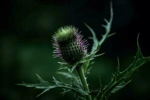 AI generated Lonely spear thistle dark photo. Generate Ai photo