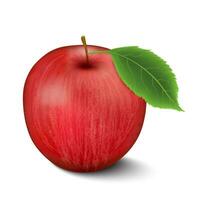 Realistic Red Apples with Green Leaves on white background. Vector Illustration EPS 10.