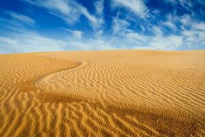 Desert sand dunes on sunrise photo