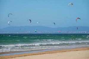 Kiteboarding kitesurfing kiteboarder kitesurfer kites on the ocean beach photo