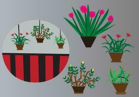 colorful flowers in garden And Horizontal white background illustration vector