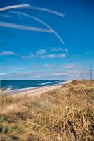 Danish North sea coast in summer sunlight photo