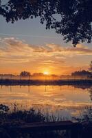 Reflection on pond in sunrise photo