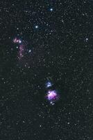 noche cielo objetos en el Orión constelación foto