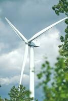 viento turbina en Alemania con árbol en el primer plano foto