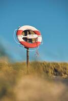 lifebuoy at the beach of Thorsminde photo