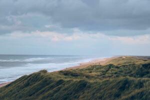 large dunes at the danish north sea coast photo