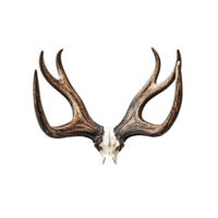 AI generated A antlers of a deer created with generative AI technology png