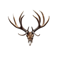 AI generated A antlers of a deer on transparent background created with generative AI technology png