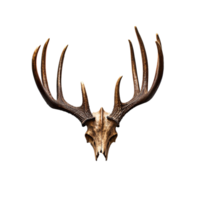 AI generated A antlers of a deer created with generative AI technology png