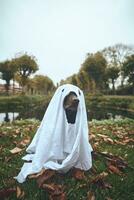 Labrador dressed up with white sheet photo