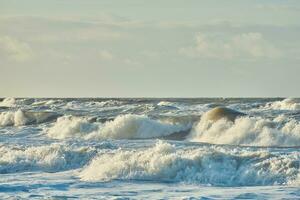 the north sea coast in denmark photo