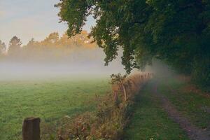 rural pathway on misty autumn morning photo