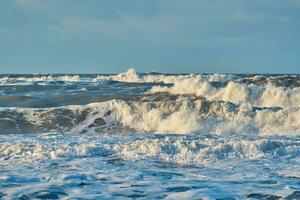 Stormy coast in denmark photo