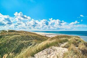 vast dunes at the coast of denmark photo