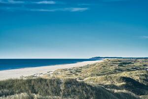 Jammerbucht in northern Denmark in summer photo