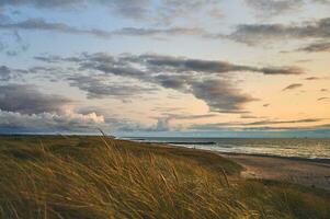 Evening in the Dunes at the wide beach at northern Denmark photo
