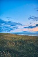 Dunes at the wide beach at northern Denmark photo