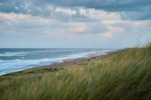 Wide beach of Vejlby Klit in northern Denmark on an Evening in Autumn photo