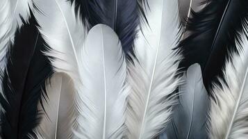 AI generated Black, white, brown, grey feathers background as beautiful abstract wallpaper header. photo