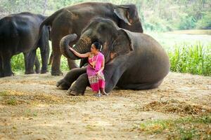 A beautiful Thai little girl ware Thai northern traditional dress acting and play with elephant for photo shoot on blurred background.