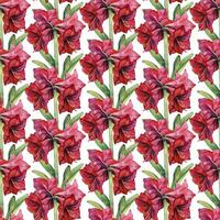 Watercolor seamless pattern with red flowers on a white background. photo