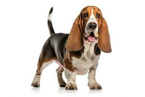 AI generated Realistic basset hound clipart photo