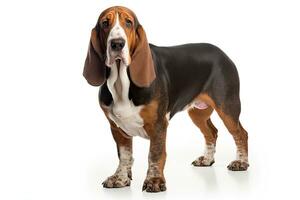 AI generated Realistic basset hound clipart photo