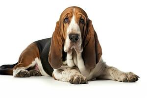 AI generated Realistic basset hound clipart photo