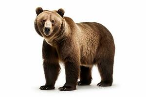 AI generated Brown bear clipart photo