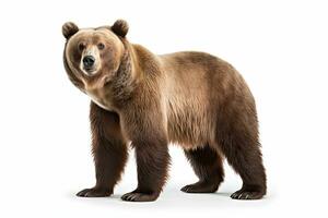 AI generated Brown bear clipart photo