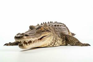 AI generated Wild Crocodile clipart photo