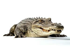 AI generated Wild Crocodile clipart photo