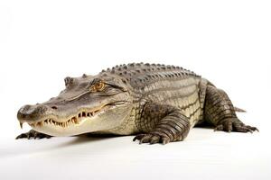 AI generated Wild Crocodile clipart photo