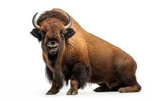 AI generated Realistic bison clipart photo