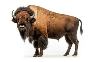 AI generated Realistic bison clipart photo