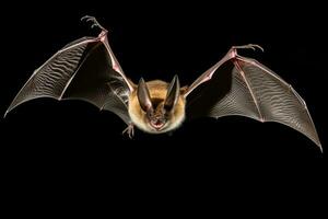 AI generated Realistic bat clipart photo