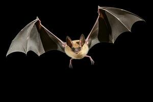 AI generated Realistic bat clipart photo