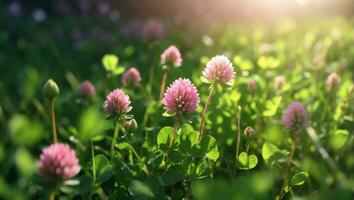 ai generado vibrante flores en un iluminado por el sol jardín, rodeado por lozano follaje foto